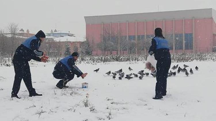 Hayvanların vebali hepimizindir