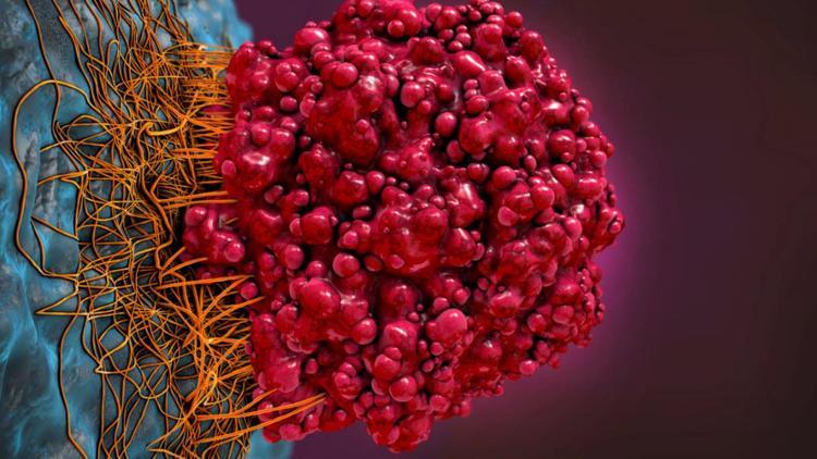 Bakır tabanlı nano parçacıklar kanser hücrelerini yok edebiliyor