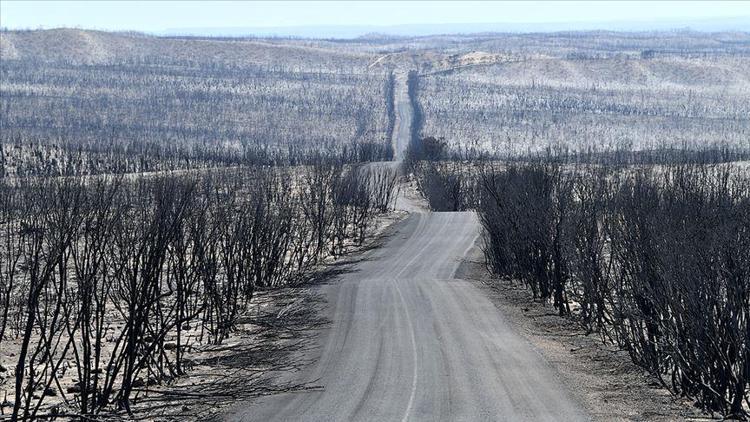 Avustralya yangınları tüm dünyayı saracak, yeni normal olabilir