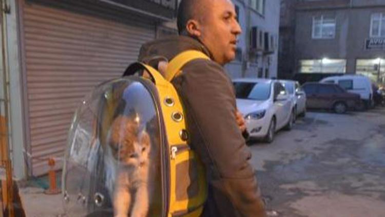 Sahiplendiği sokak kedisini sırt çantasında gezdiriyor