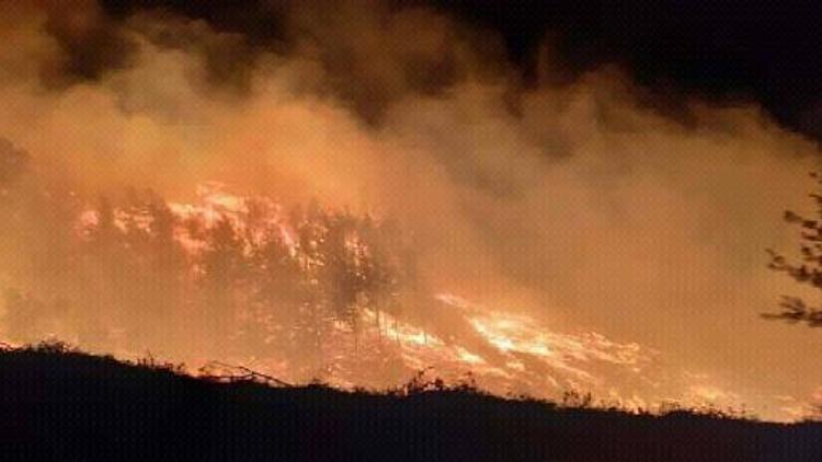 Adanada 6 saatlik orman yangını; 20 hektar alan kül oldu