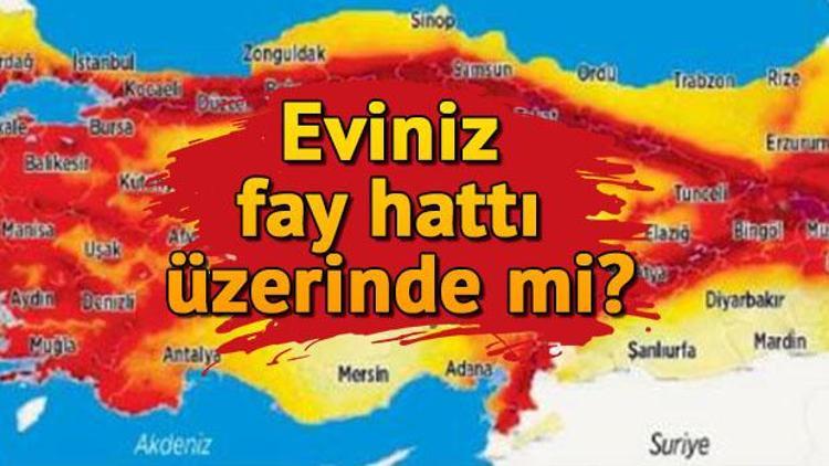 Doğu Anadolu ve Kuzey Anadolu Fay Hattı nerelerden geçiyor Türkiye fay hattı haritası sorgulama