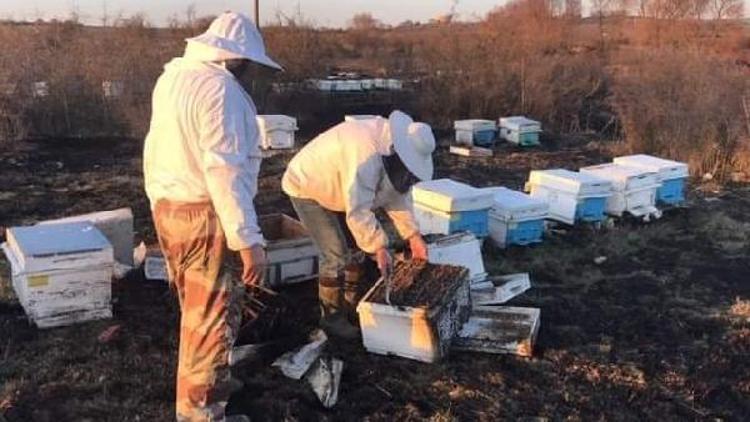 Çanda otluk yangınında 30 arı kovanı yandı