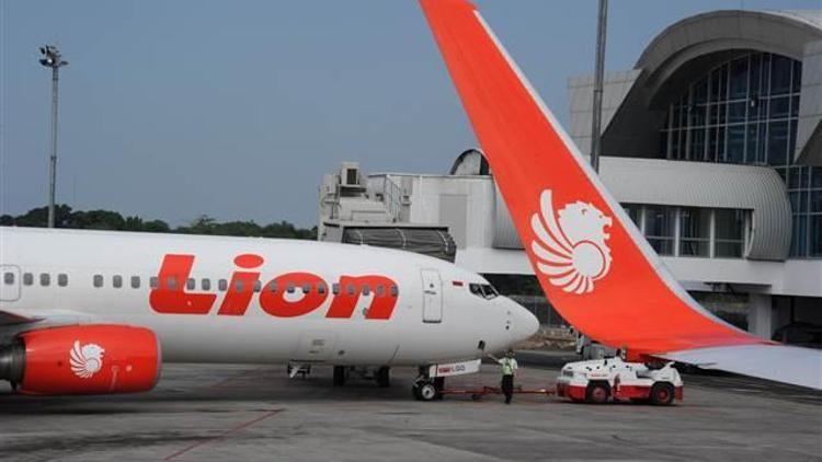 Lion Air ve Seoul Air şirketleri de Çine uçuşlarını durduruyor