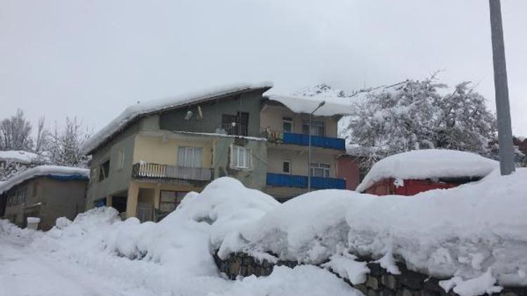 Beytüşşebapta 15 köy yolu kardan kapandı