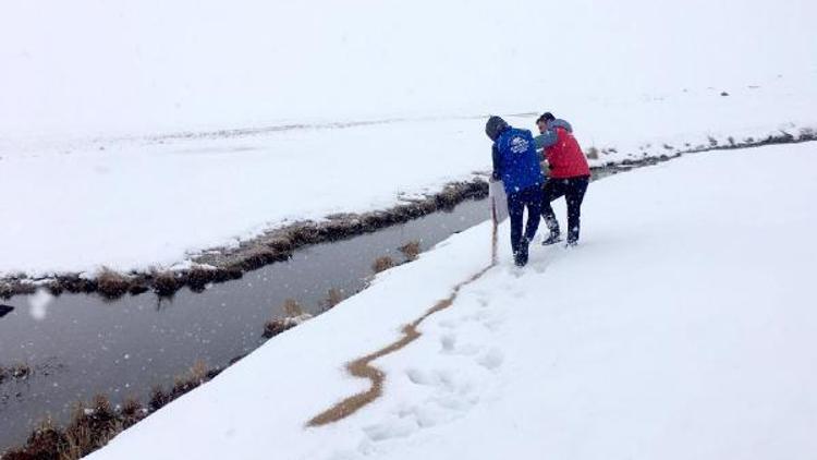 Kar kalınlığı 1 metreye ulaşınca, yaban hayvanları için yem bırakıldı