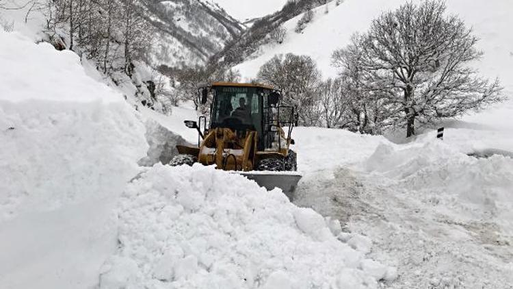 Muşun dağ köylerinde zorlu karla mücadele