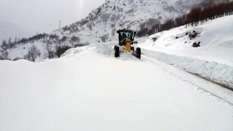 Bingölde 252 köy yolu, kardan kapandı