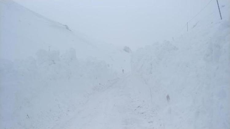 Çığdan kapanan Salmakaş Geçidi, ulaşıma açıldı