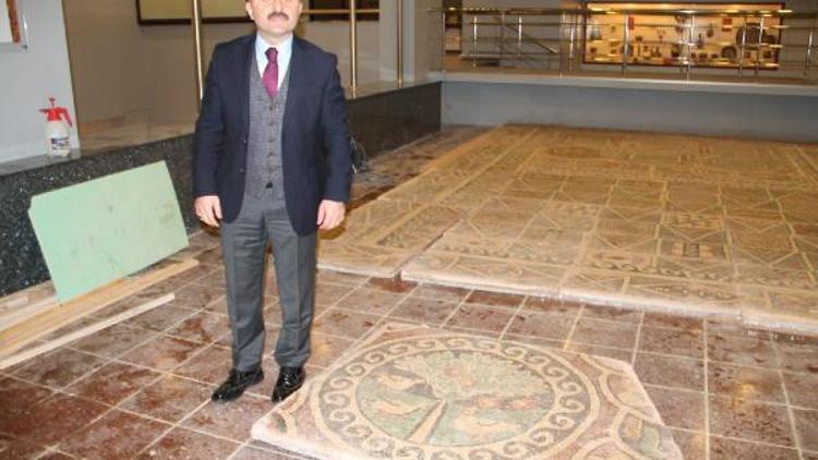 1800 yıllık elmalı mozaik, Amasya Arkeoloji Müzesinde sergilenecek