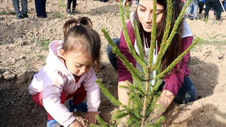 Geçen yıl 10,5 milyon fidan bedelsiz dağıtıldı