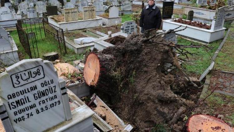 Orduda fırtınada devrilen ağaçlar mezarlara zarar verdi