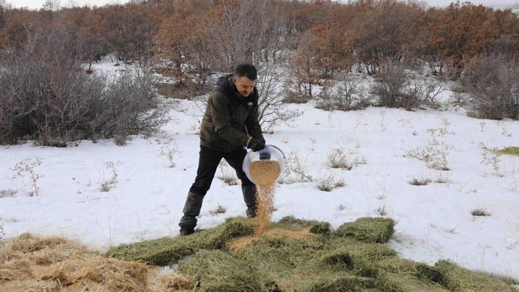 Bakan Pakdemirli, doğa ve yaban hayatıyla iç içe bir gün geçirdi