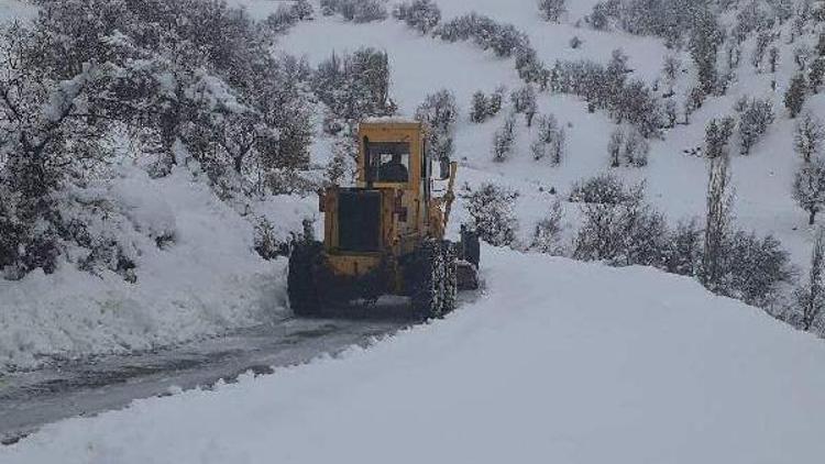 Adıyamanda 111 köy ve mezra yolu kardan kapandı