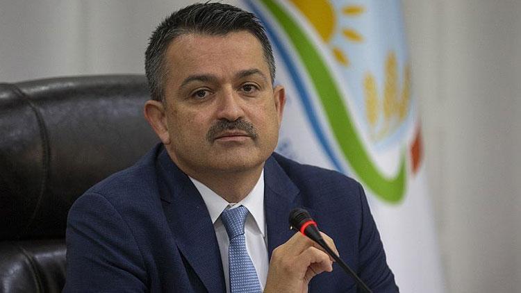 Orman köylülerine 202 milyon lira ayrıldı