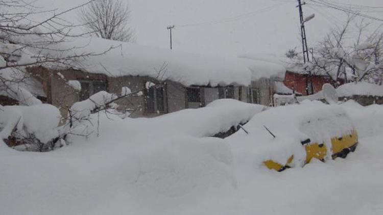 Bitliste kar kalınlığı 2,5 metreyi buldu; 257 köy yolu ulaşıma kapalı