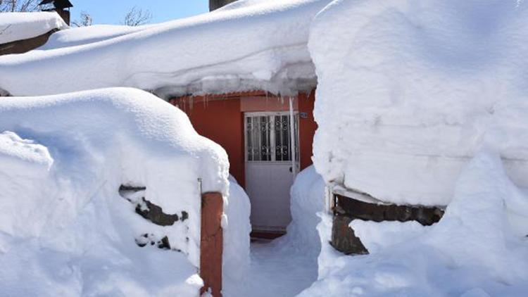 Bitlis’te kar kalınığı 2,5 metreyi buldu, evler kara gömüldü