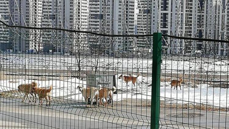 Çankaya’da korku var