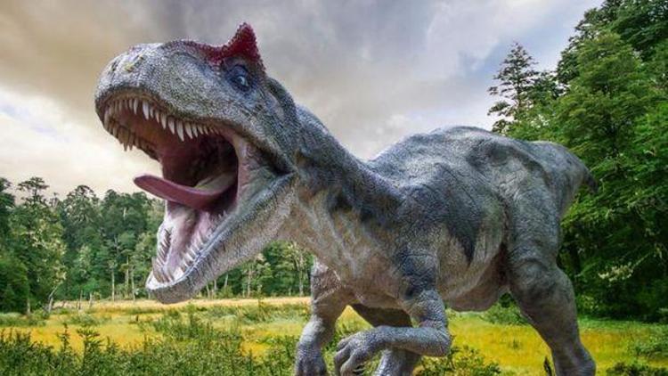 130 milyon yıllık dinozora ait ayak izi ortaya çıktı
