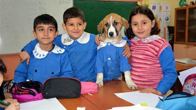 Mezarlıkta bulunan ’Fındık’ okulun maskotu oldu