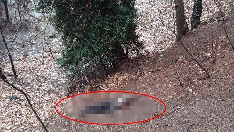 Adanada korkunç olay Kumalığı kabul etmeyen kadını feci şekilde öldürdü