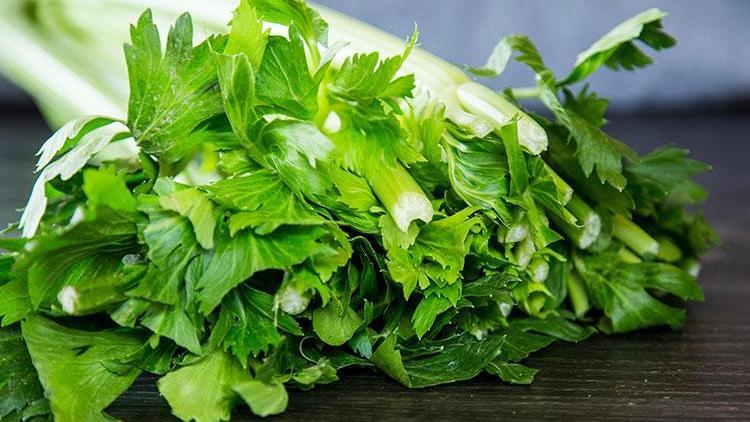 Kereviz yaprağı salatası tarifi