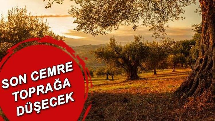 Cemre toprağa ne zaman düşer Üçüncü cemre ne zaman düşecek