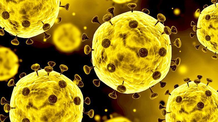Koronavirüs Belirtileri ve Korunma Yöntemleri