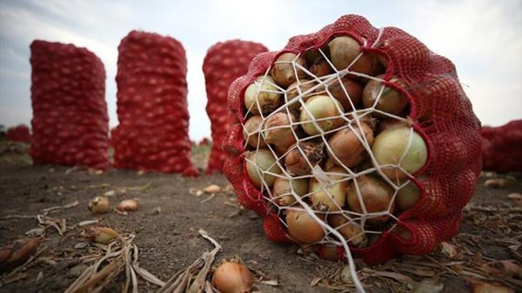 ‘Polatlı Soğan Yemeğini Arıyor’