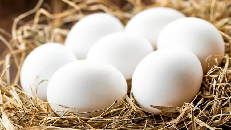 Yumurtanın faydaları nelerdir Yumurta