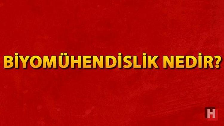 Biyomühendislik nedir Ne iş yapar