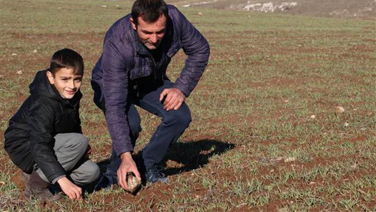 Tarlada bulduğu gök taşını satılığa çıkardı