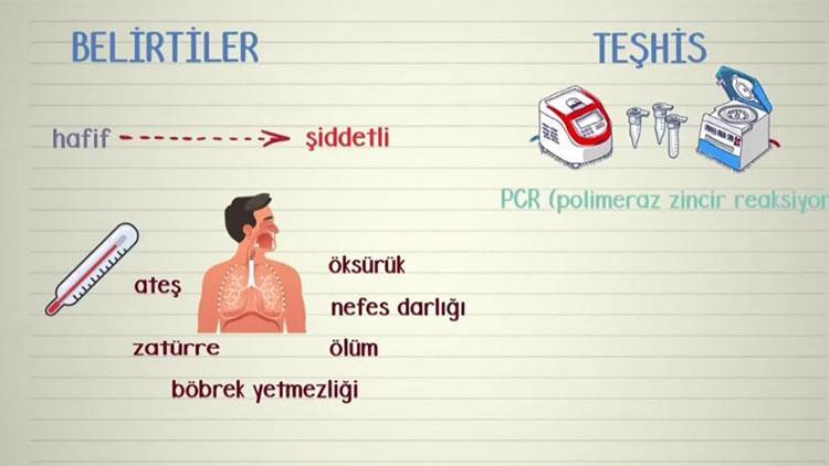 Koronavirüs belirtileri ve tedavi yöntemleri