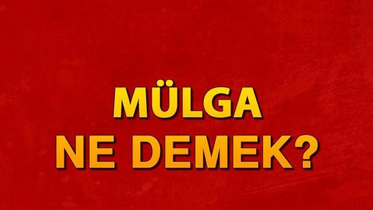 Mülga ne demek Mülga nedir Mülga TDK sözlük anlamı