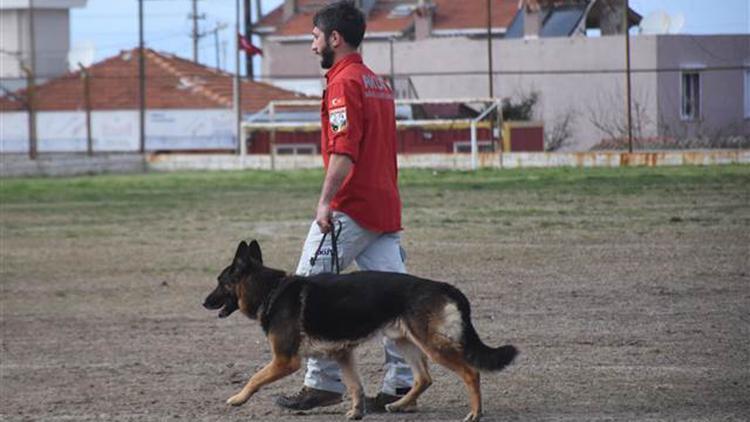 K9 köpekleri, itaat ve doğa arama sınavlarıyla test edildi