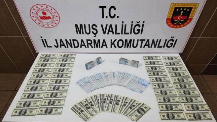 Muş’ta 9 bin 700 adet sahte 100 dolar ele geçirildi