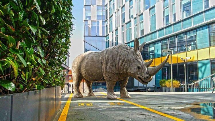 ‘Rhinos Back in Town’ Masterpiece’te