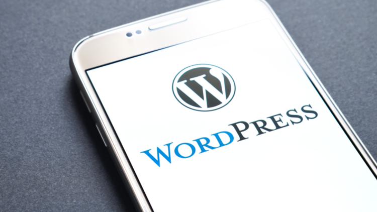 WordPress zirvesi WPFest 2020 sona erdi