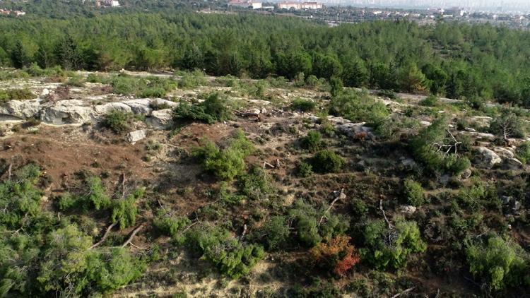 Mersinde isyan ettiren görüntü Yok ettiler