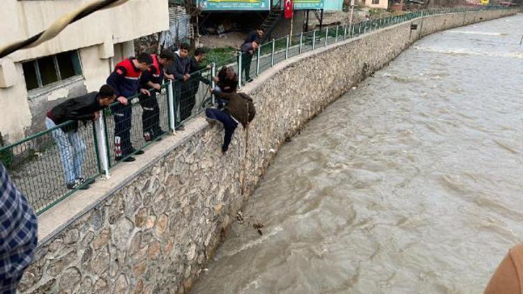 Irmakta mahsur kalan kedi, balıkçı kepçesiyle kurtarıldı