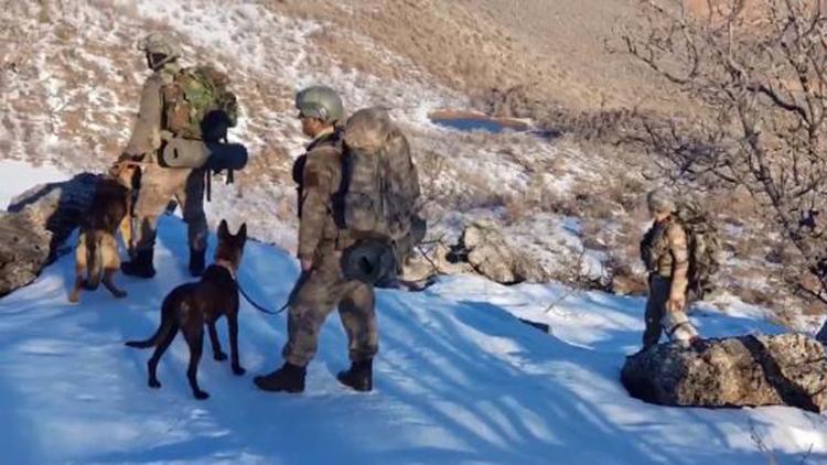 Özel eğitimli köpeklerin tespit ettiği patlayıcılar imha ediliyor