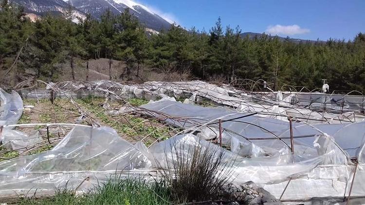 Kaş’ta hortum seraları vurdu