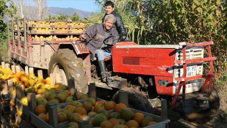 Yılda 300 ton portakal kabuğunu ekonomiye kazandırıyorlar