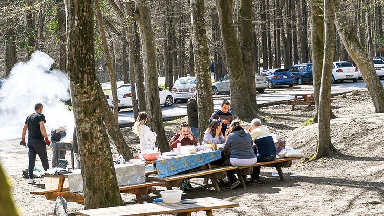 Orman ve parklarda mangal yasağı