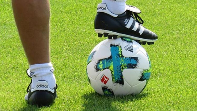 Almanyada 1. ve 2. futbol liglerinin 30 Nisana kadar askıya alınması tavsiye edildi