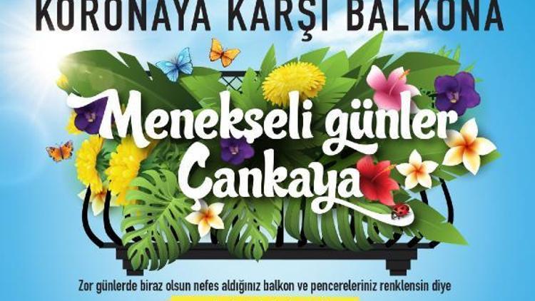 Çankaya Belediyesinden virüs günlerine karşı menekşe dağıtımı