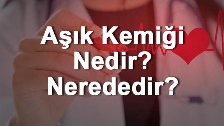 Aşık Kemiği Nedir Nerededir Aşık Kemiği Ağrısı, Kırığı Ve Tedavisi