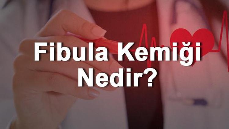 Fibula Kemiği Nedir Nerededir Fibula Kemiği Ağrısı, Kırığı Ve Tedavisi