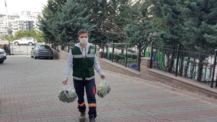 Çankaya Belediyesi, vatandaşlara menekşe dağıttı