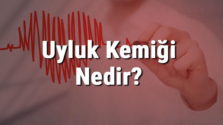 Uyluk Kemiği Nedir Nerededir Uyluk Kemiği Ağrısı, Kırığı Ve Tedavisi